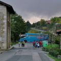Albertia (201)